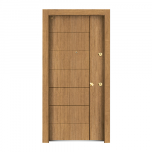 K66 - 4N Proje Kapısı